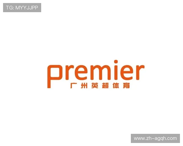 体育行业中英超球队常见的四字品牌有哪些? 体育行业中英超球队常见的四字品牌有哪些?