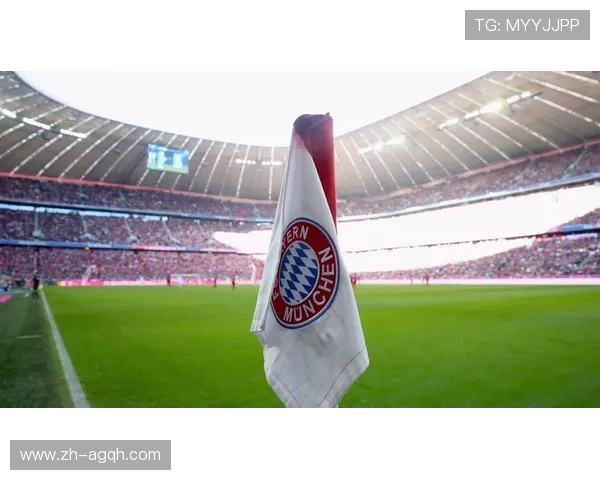 德甲球队冠名制度解析及目前冠名商明细