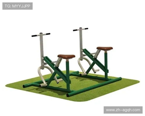 阳锐健身器材官网正品直销专业运动器械 阳锐健身器材官网正品直销专业运动器械