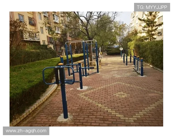 社区健健身器材配置优化与居民锻炼参与度分析 社区健健身器材配置优化与居民锻炼参与度分析